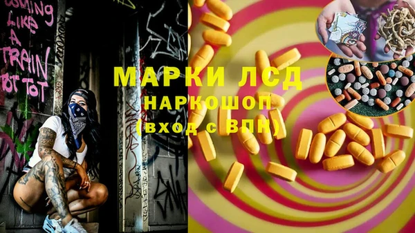 дживик Инсар