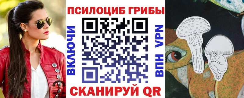 hydra tor  цены   Хасавюрт  Галлюциногенные грибы мухоморы 