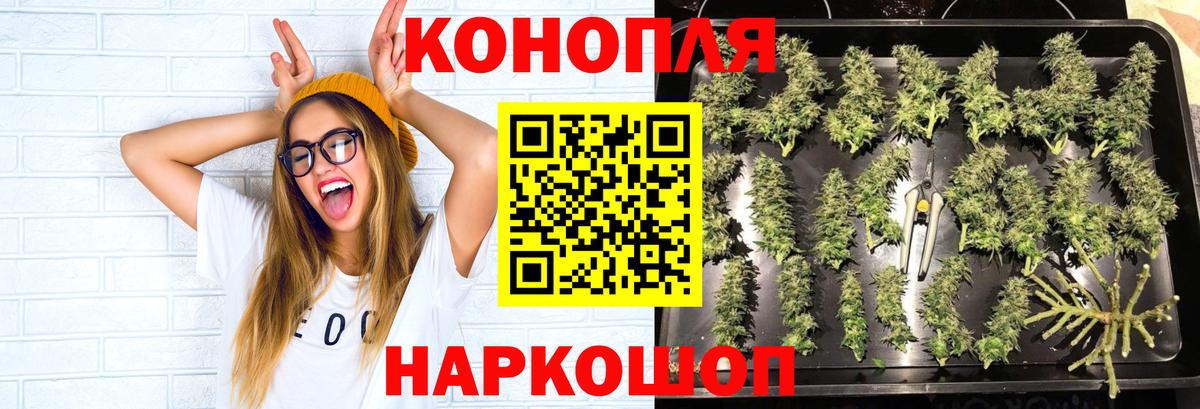 Бошки Шишки White Widow Хасавюрт